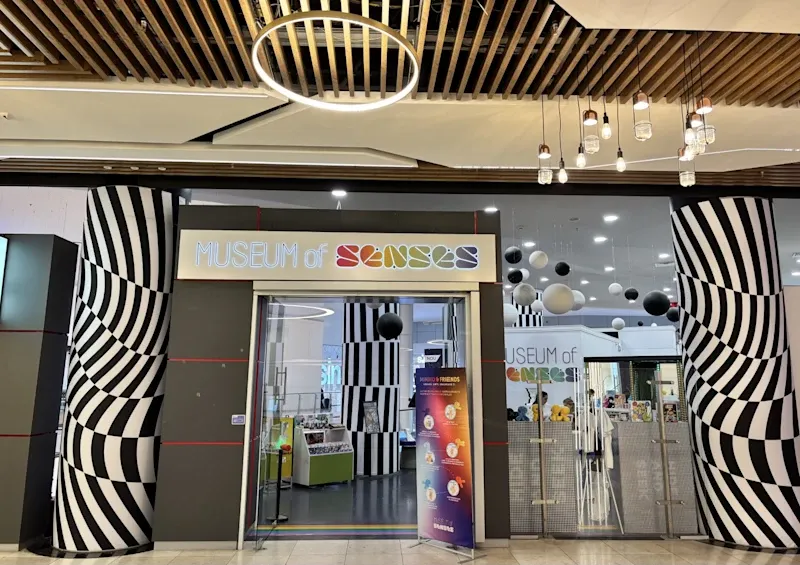 Get Ready to Question Your Senses – Museum of Senses