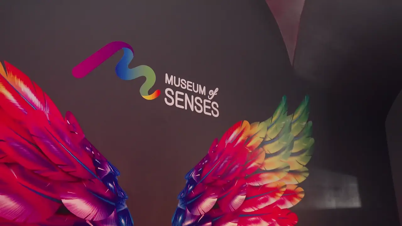 Museum of Senses Bucharest - Official Website